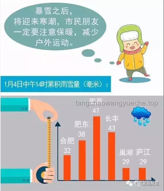 《鳞甲下的哀伤》趋势预测：从网络热度到社会情感共鸣的深化